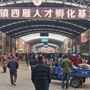 平邑山楂药材产地价格(2023.12.06）