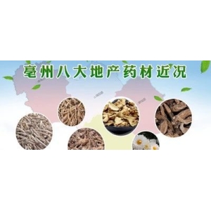 亳州八大地产药材近况