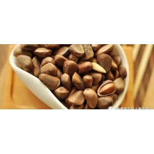 12月9日国家级万良人参市场最新价格