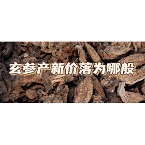 玄参产新价落为哪般