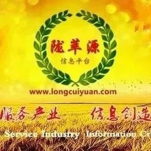 2023年12月14日会川中药材市场快讯（当归交易价格有所上涨）