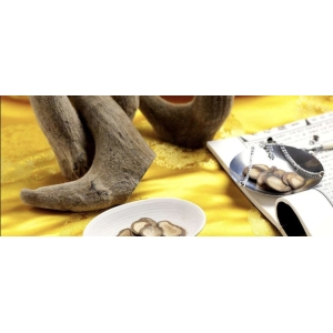 12月14日国家级万良人参市场最新价格