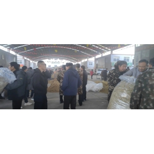 平邑金银花药材产地价格(2023.12.14)