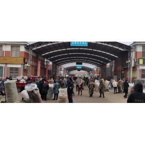 平邑金银花药材产地价格(2023.12.15)