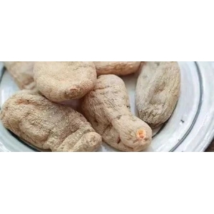 12月15日国家级万良人参市场最新价格