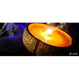 石柱黄连~资讯