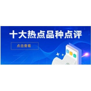 十大热点品种点评