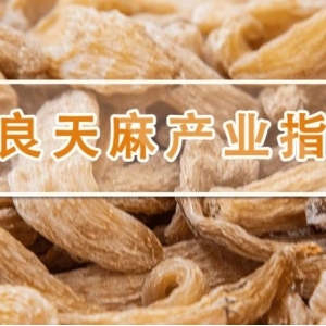 鲜天麻价格小幅下跌，天麻产品价格指数高位回落