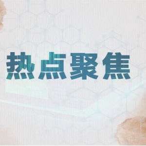 2024热点品种行情如何？专家们这样说……