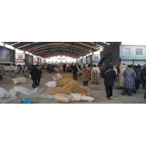 平邑金银花药材产地价格(2023.12.24)