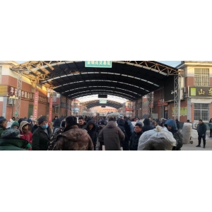 平邑金银花药材产地价格(2023.12.25)