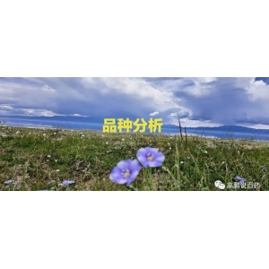 高鹏说药材：疫类、滋补类药材走动加快，实需促价格指数止跌回升