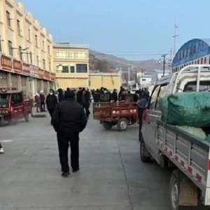 2023年12月26日宕昌县哈达铺产地快讯