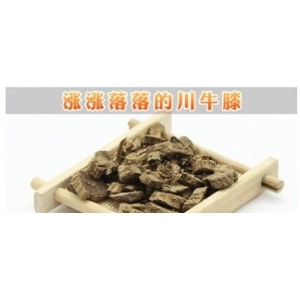 涨涨落落的川牛膝