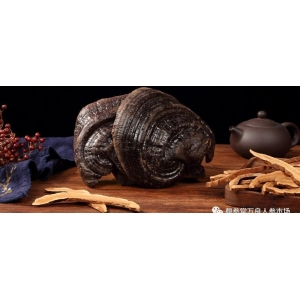 12月29日国家级万良人参市场最新价格