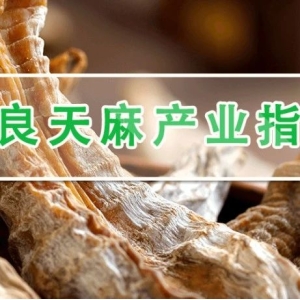 鲜天麻价格跌后依旧高位，后市天麻行情向好