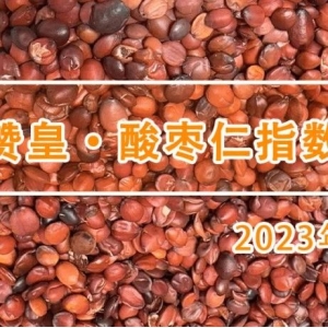 “缓筑底、慢复苏”，酸枣仁行情止跌企稳