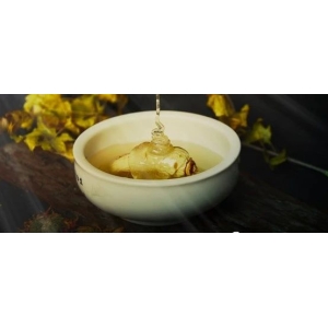 12月28日国家级万良人参市场最新价格