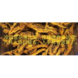 黄连行业~资讯