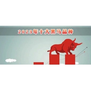 2023年十大黑马品种