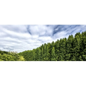 中药材价格“狂飙”按下暂停键，进入产业重塑阶段！