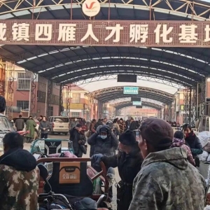 平邑山楂药材产地价格(2024.01.05）