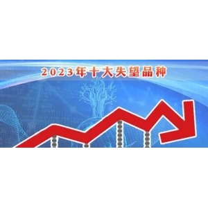 2023年十大失望品种