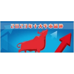 2023年十大牛市品种