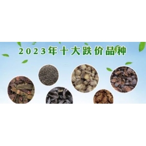 2023年十大跌价品种