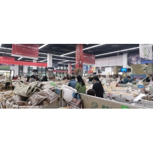 今日亳州市场中药材行情