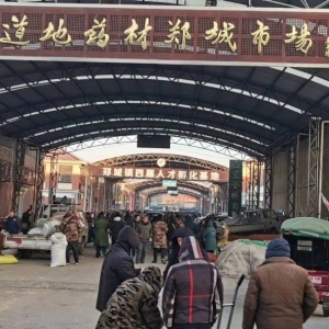 平邑山楂药材产地价格(2024.01.10）