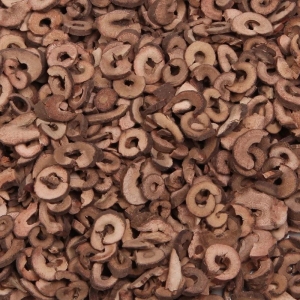 产地信息及时快讯（1.12）