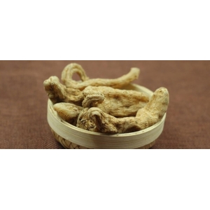 1月12日国家级万良人参市场最新价格