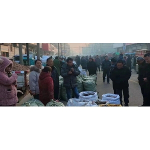 亳州八大地产：跌多涨少，白术人气旺，白芷价格下滑！