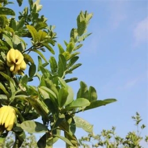 天地网年度盘点：2023年那些徒劳往返的低迷品种