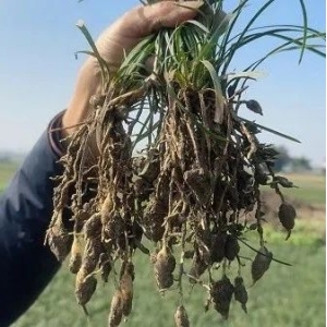 “药财有道”年终“聚贤”系列话题呈现（六）