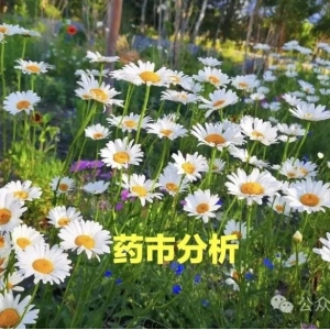2024年中药材价格或将进入稳增长、慢消化的时代？