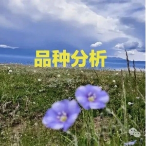 这些中药材还会涨价吗？