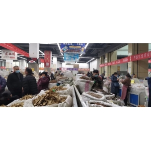 一周行情总结：牛黄再新高，新一轮降温在即，集市交易放慢