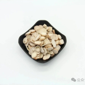亳州市场快讯（1.22）