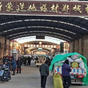 平邑山楂药材产地价格(2024.01.24）