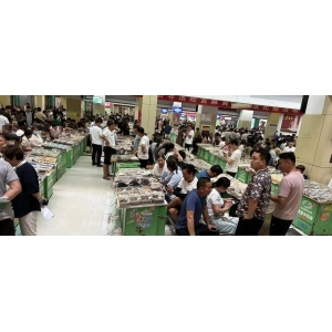 亳州药市年度盘点：药市行情跌宕起伏 2023年有人欢喜有人愁