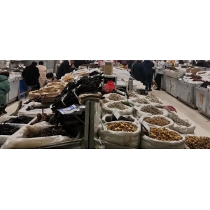 一周行情总结：寒潮影响不大，地产品种托底带动行情