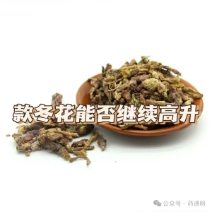 投稿资讯 | 多维度分析款冬花行情走势