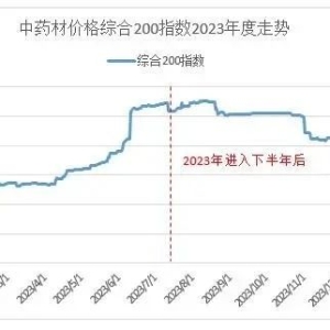 2024年1月综合200指数解读：向下调整的主调并未改变