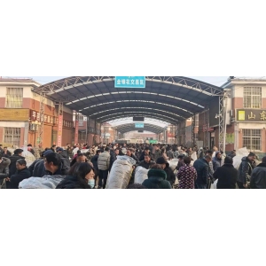 平邑金银花药材产地价格(2024.03.03)