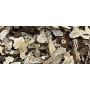 白术：为何如此火爆？