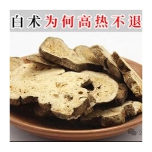 白术为何高热不退