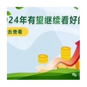 2024年有望继续看好的品种