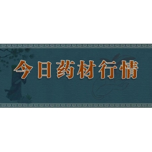 栀子迎来涨价周期，一年涨幅翻倍最高已达35元，产地栀子产新加工完毕，后市前景如何